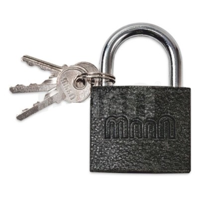 Замок навесной 50 мм AUTO LOCK